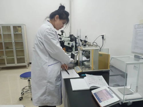 黑龍江省伊春市市場監(jiān)管局舉辦2023年世界計量日信息技術(shù)咨詢服務(wù)活動